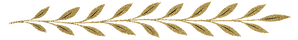 Séparateur